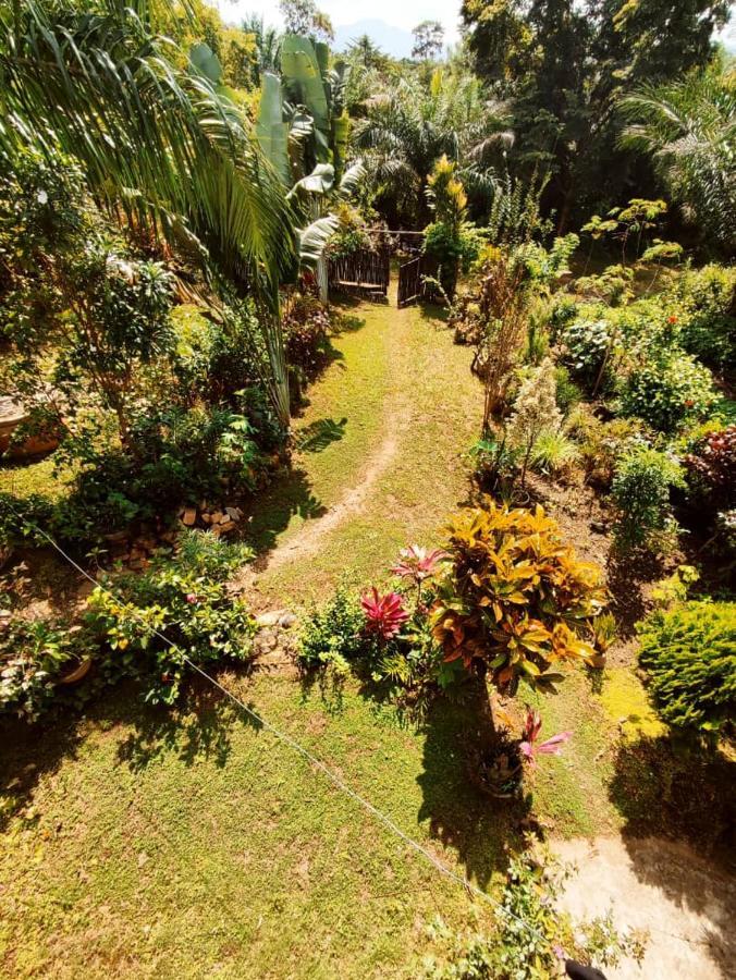 Maison Au Calme Dans La Nature Kpalimé Eksteriør bilde