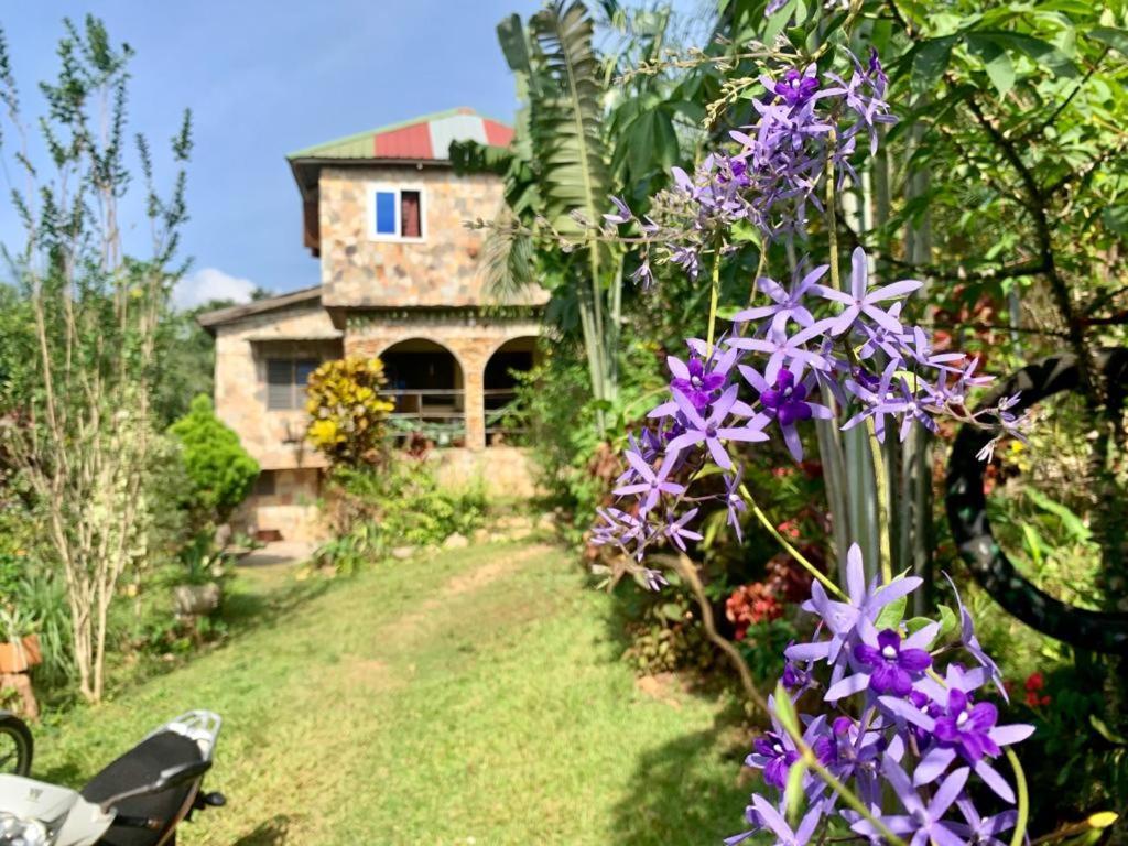 Maison Au Calme Dans La Nature Kpalimé Eksteriør bilde